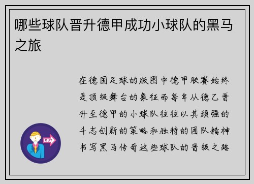哪些球队晋升德甲成功小球队的黑马之旅
