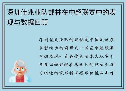 深圳佳兆业队郜林在中超联赛中的表现与数据回顾